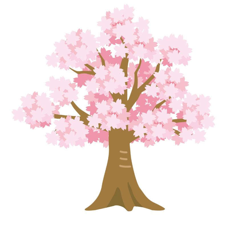 桜のイラスト